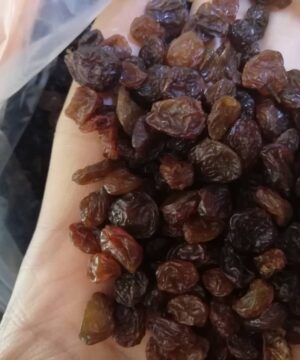 کشمش خرمایی ۹کیلویی