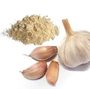 پودر سیر فله