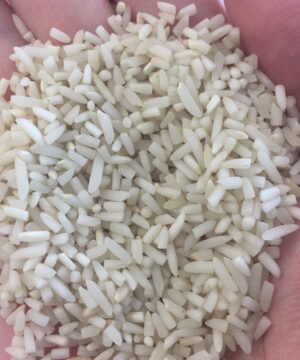 برنج سرلاشه شیرودی