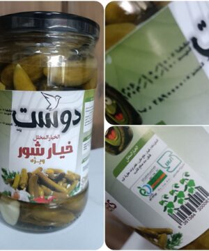 خیارشور ویژه دوست 700 گرم